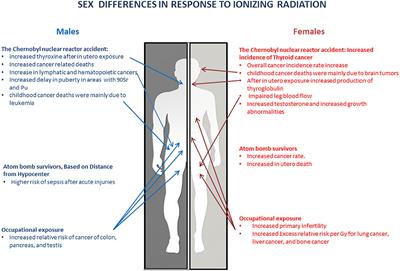 Sex Difference of Radiation Response in Occupational and Accidental Exposure